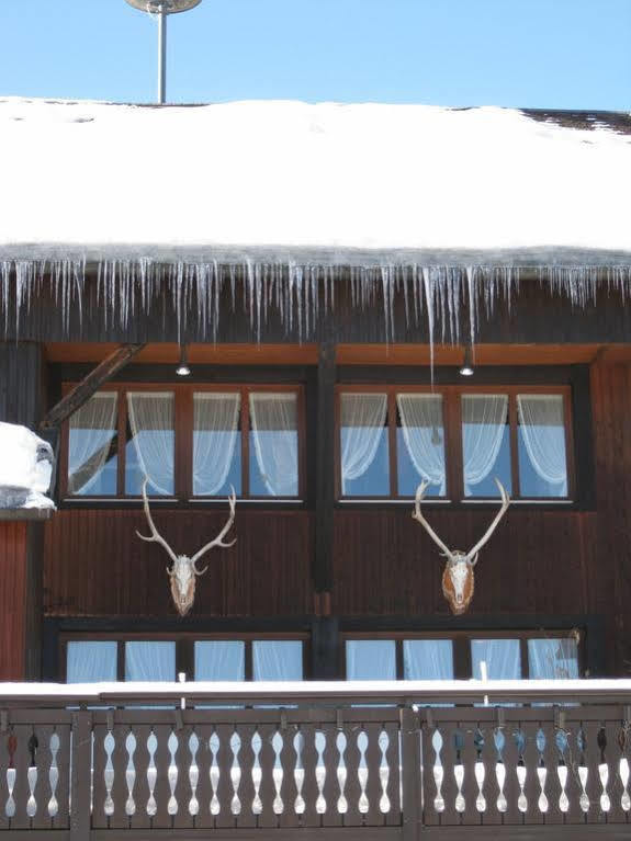 Schwarzwaldgasthof Hotel Hirschen Ibach Luaran gambar