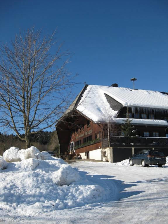 Schwarzwaldgasthof Hotel Hirschen Ibach Luaran gambar