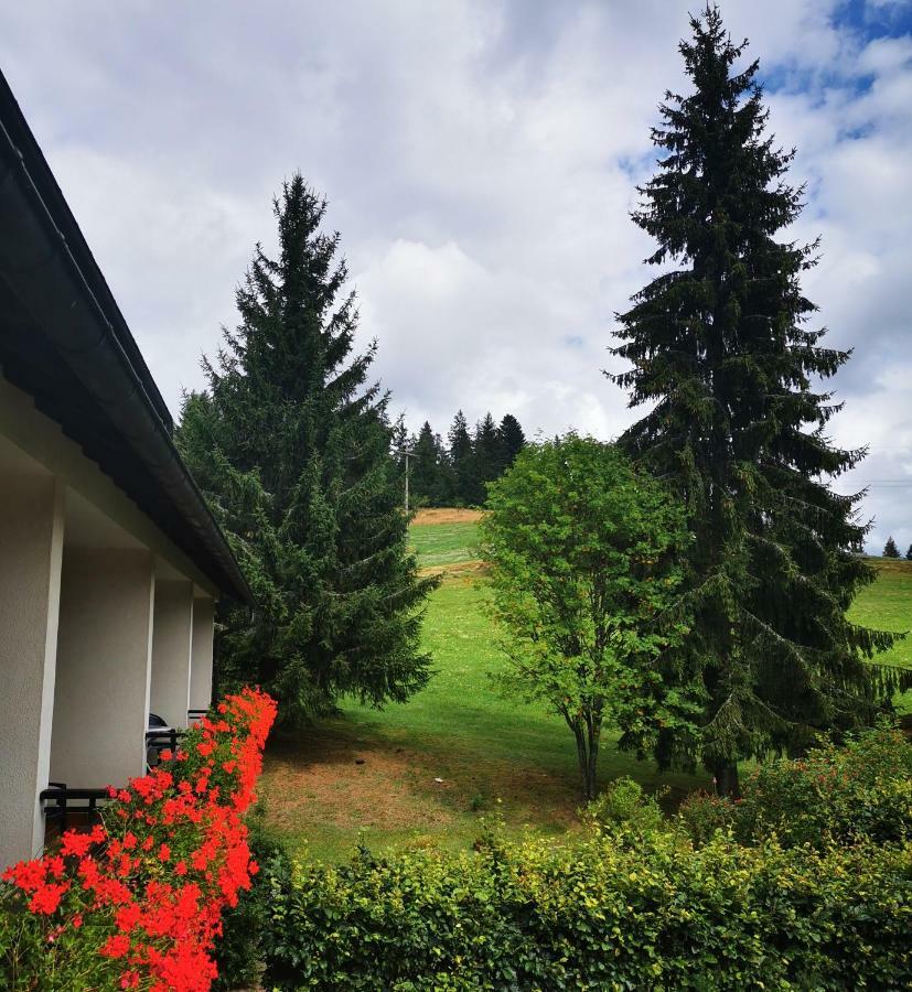 Schwarzwaldgasthof Hotel Hirschen Ibach Luaran gambar